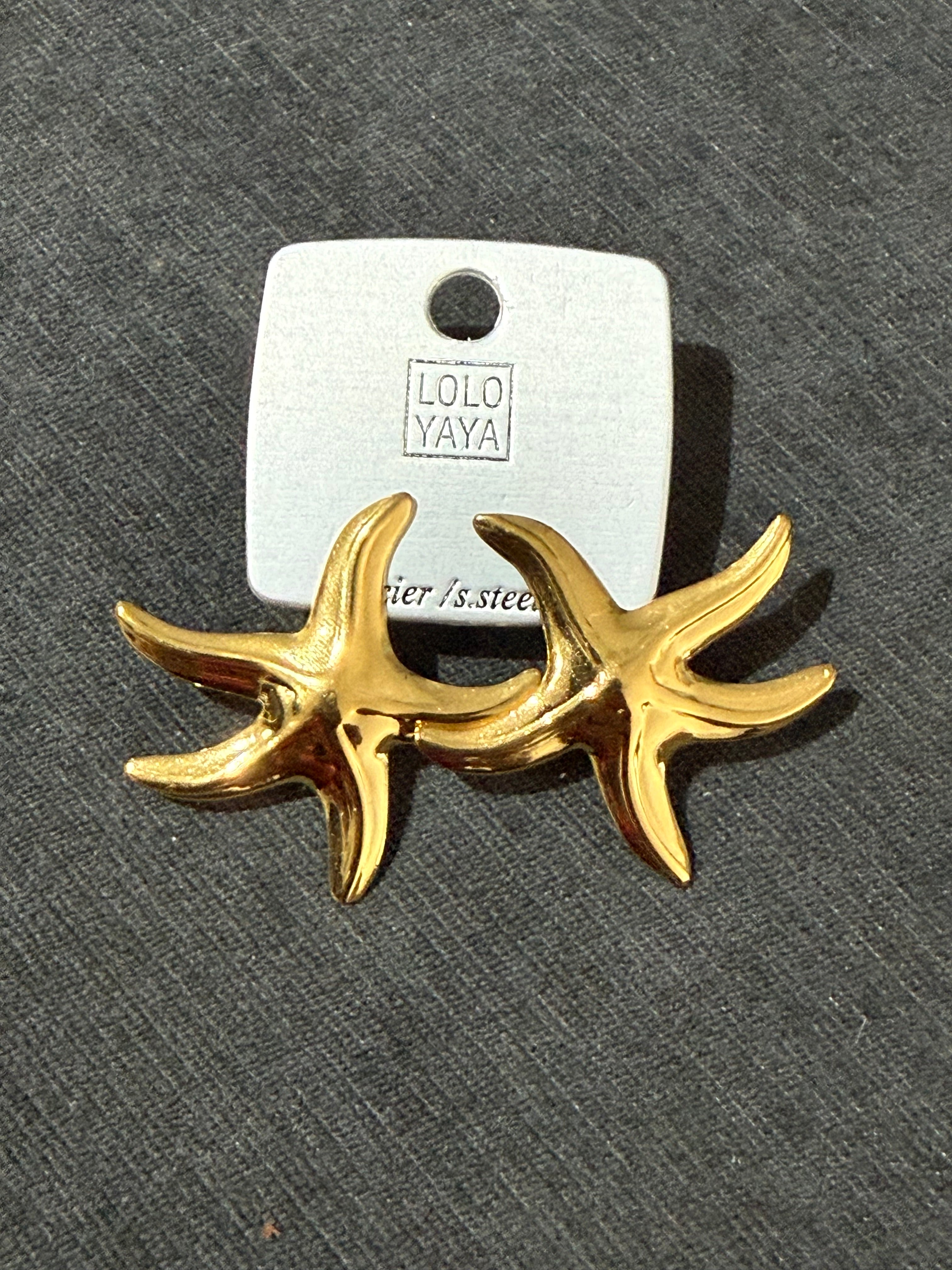 Boucle étoile de mer